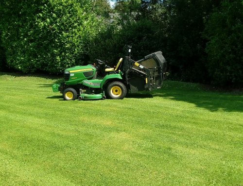 Estate Maintenance