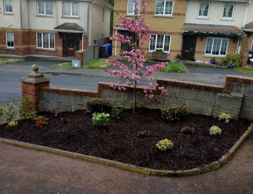 Plant Bedding
