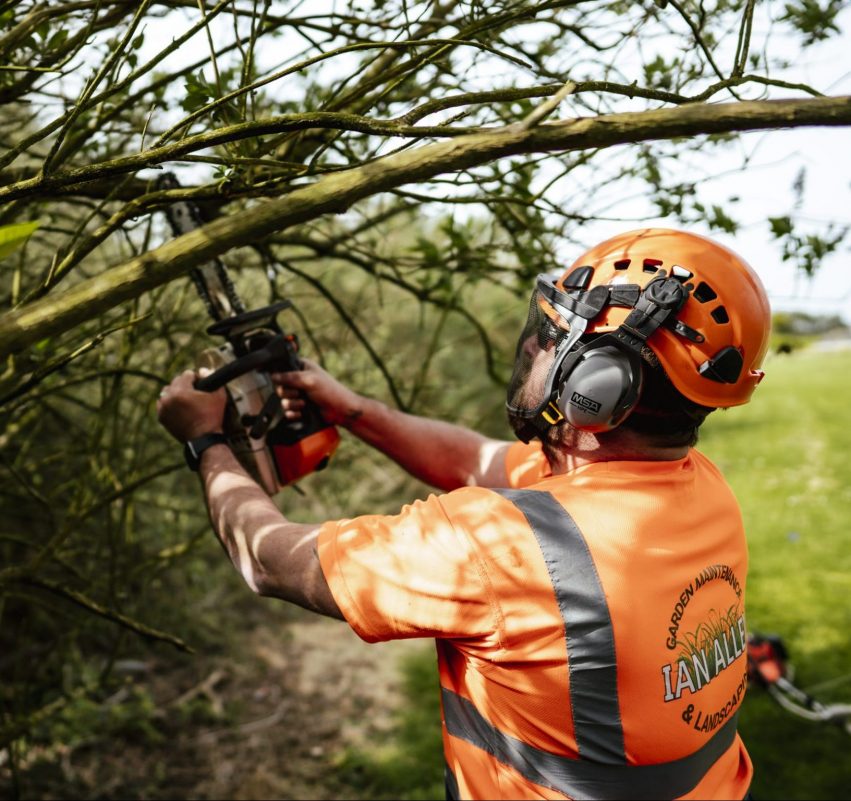 Tree Surgery