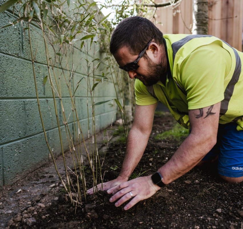 Hedge Planting Service